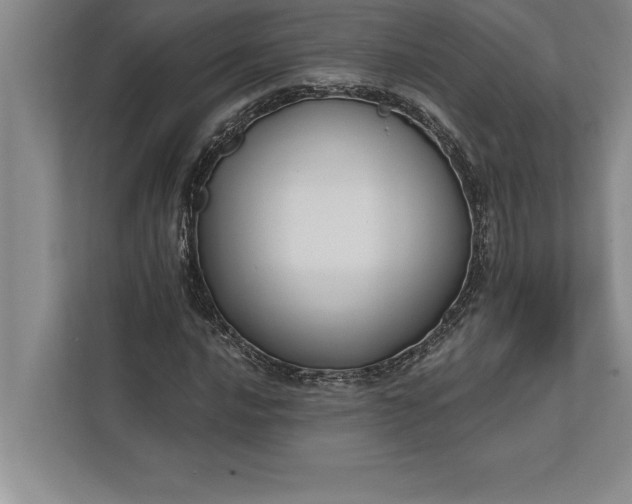 X0000112381016200908271315