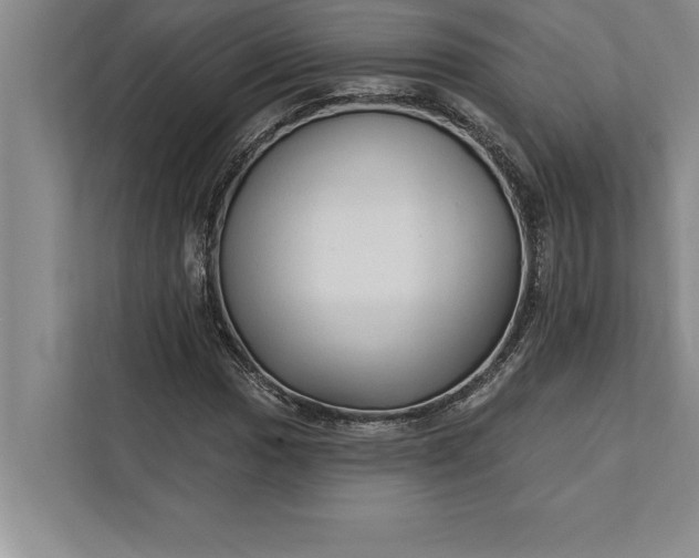 X0000112381017200908271315