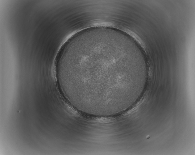 X0000112381022200908271315