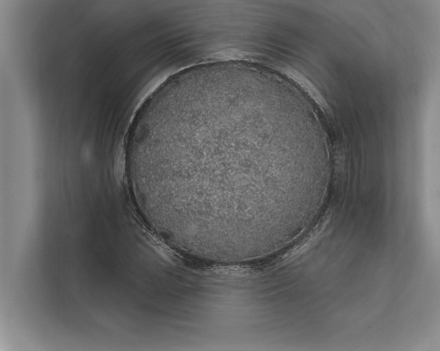 X0000112381023200908271315