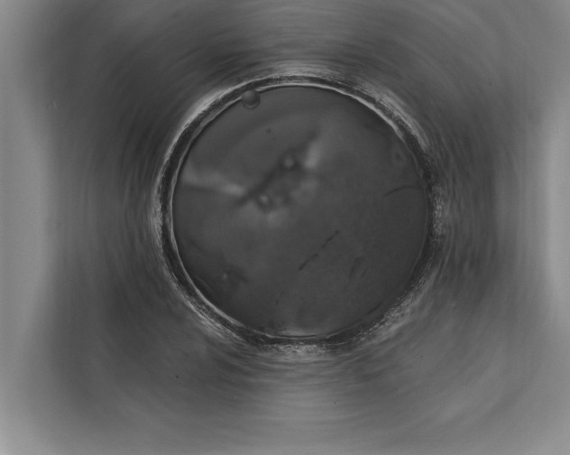 X0000112381024200908271315