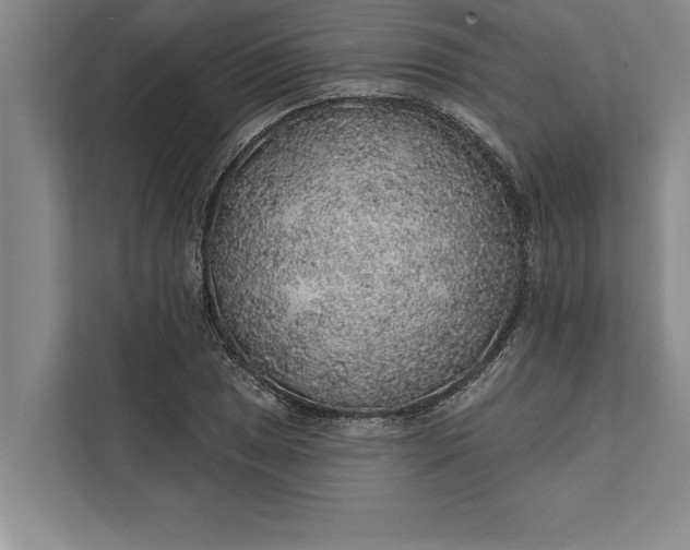 X0000112381025200908271315