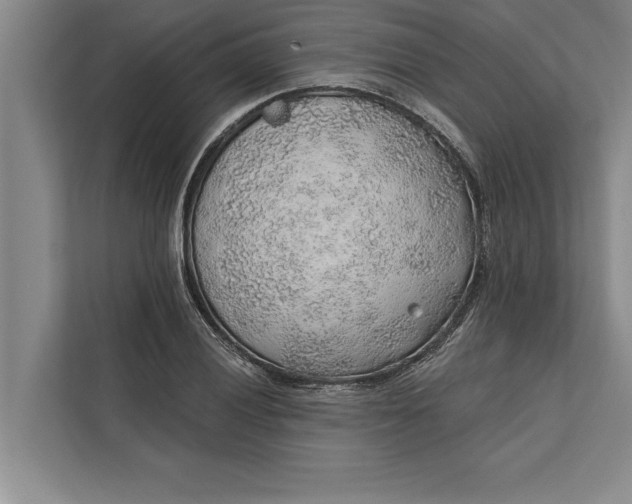 X0000112381028200908271315