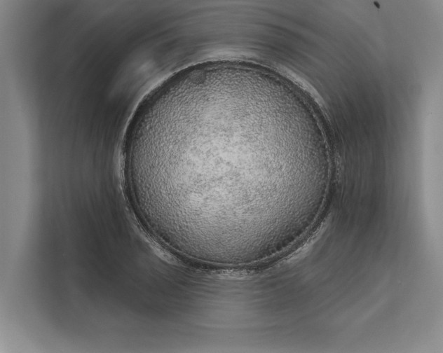 X0000112381029200908271315