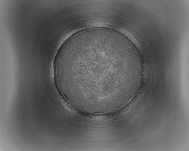 X0000112381031200908271315