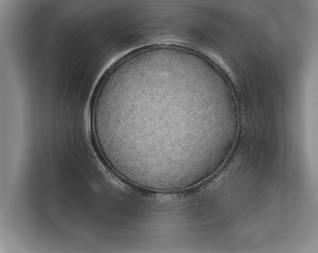 X0000112381032200908271315