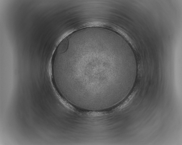 X0000112381034200908271315