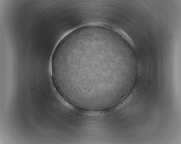 X0000112381036200908271315