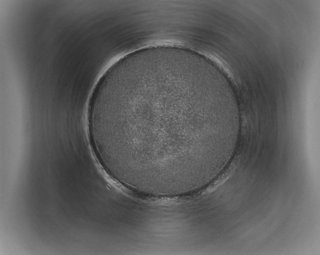 X0000112381038200908271315