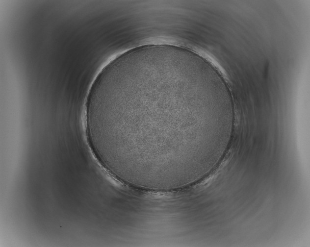 X0000112381040200908271315