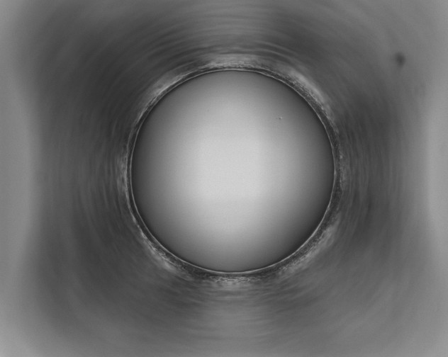 X0000112381041200908271315