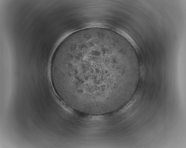 X0000112381043200908271315