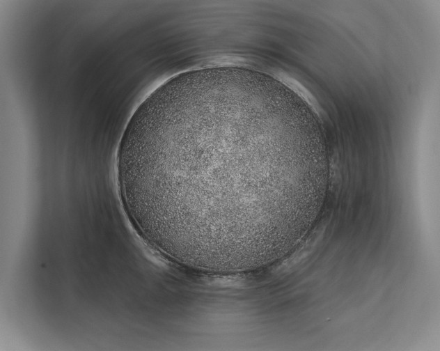 X0000112381047200908271315