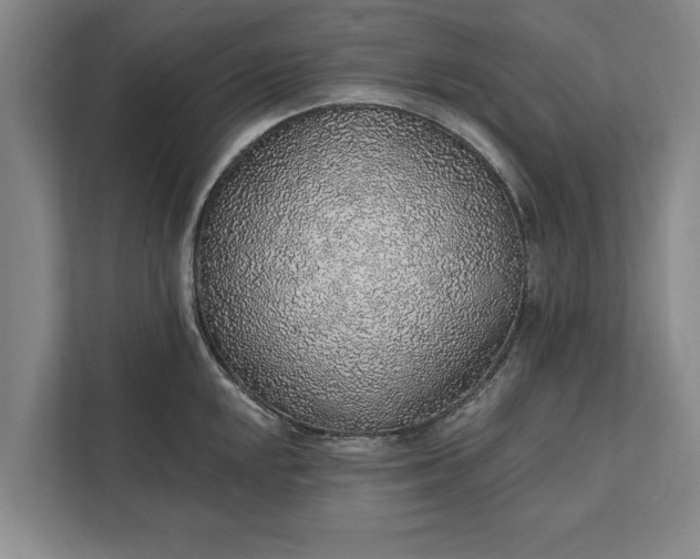 X0000112381048200908271315