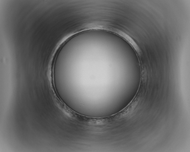 X0000112381051200908271315