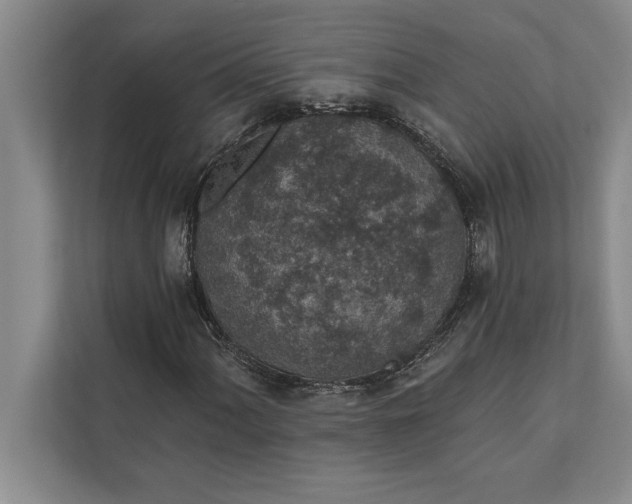 X0000112381060200908271315