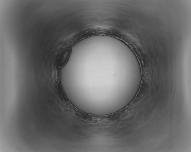 X0000112381061200908271315