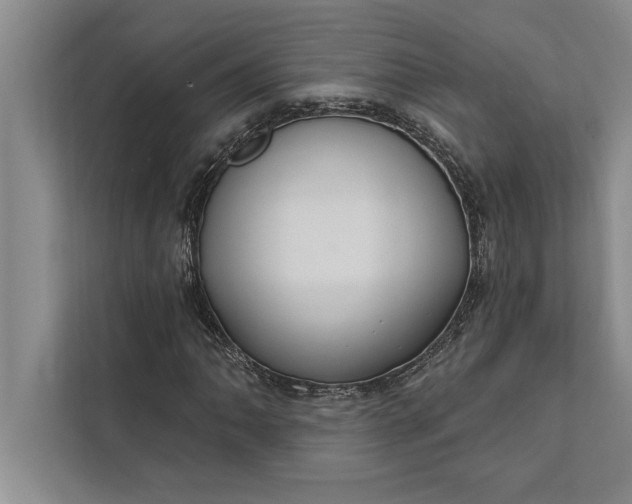 X0000112381062200908271315