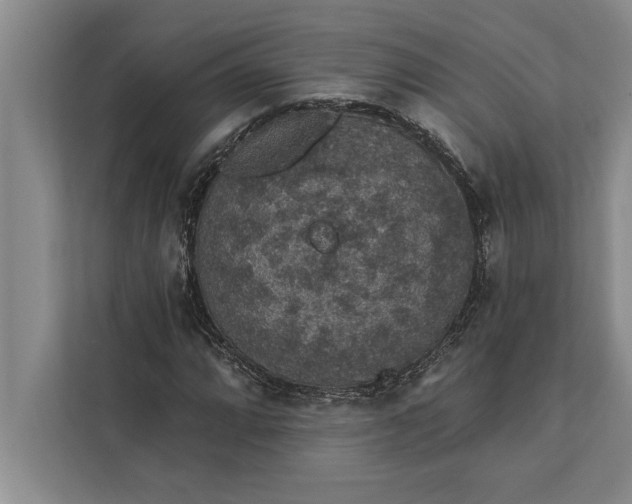 X0000112381064200908271315