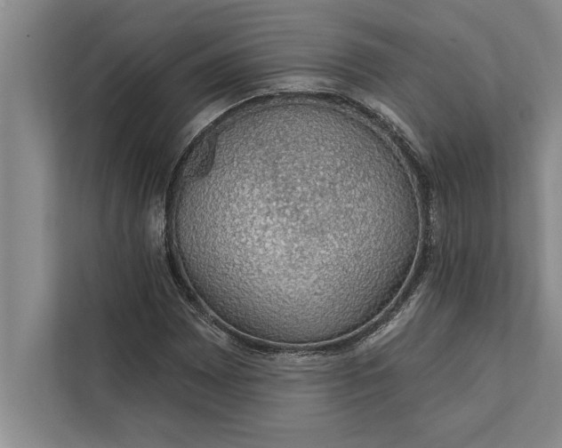 X0000112381065200908271315