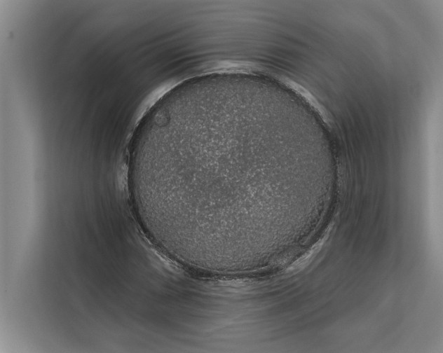 X0000112381066200908271315