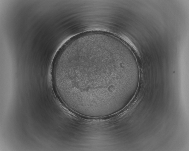 X0000112381068200908271315