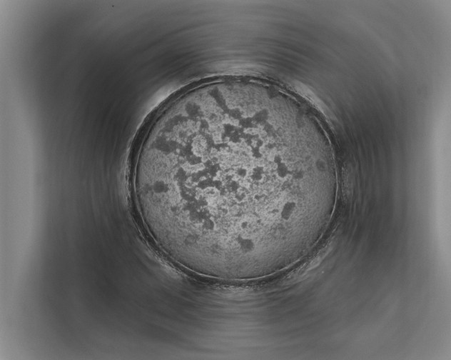 X0000112381071200908271315