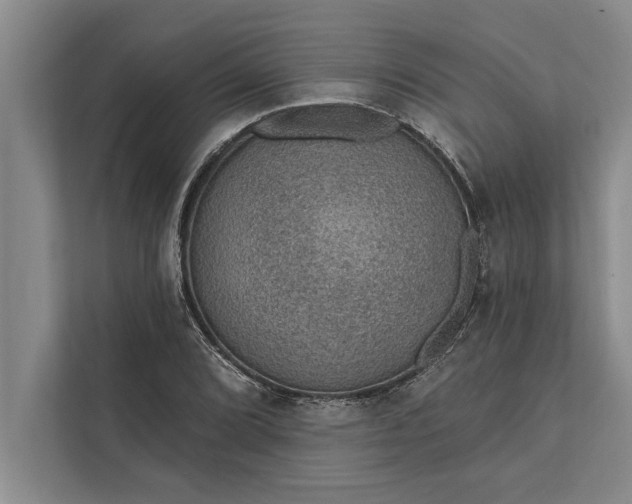 X0000112381072200908271314