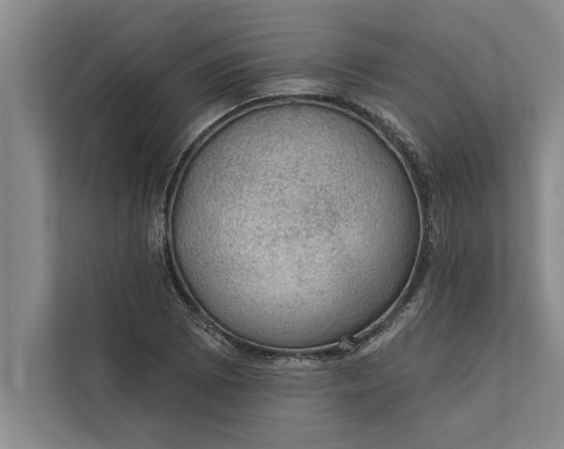 X0000112381073200908271314