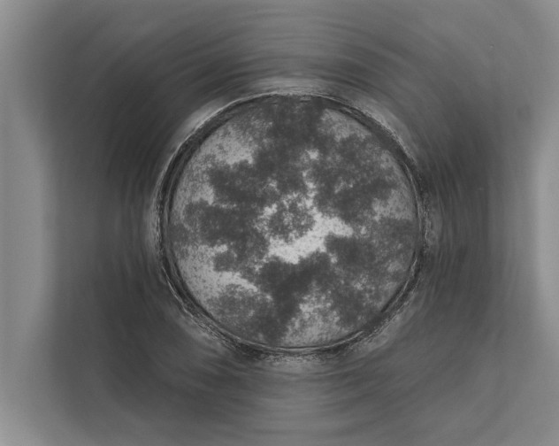 X0000112381074200908271314