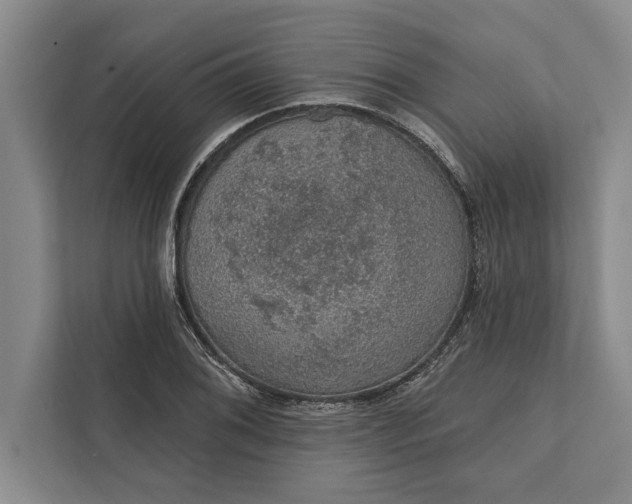 X0000112381076200908271314