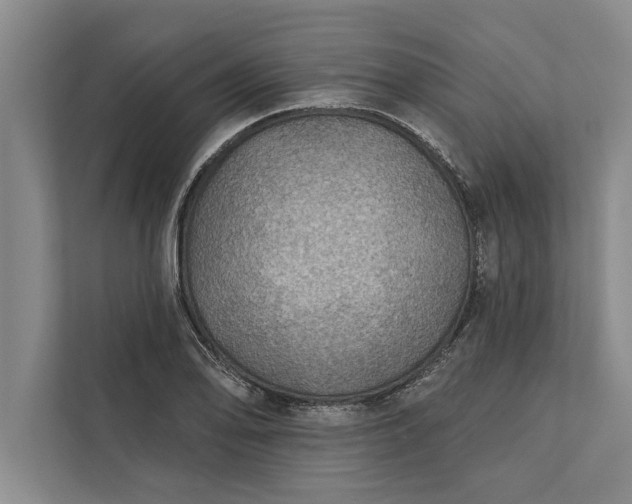 X0000112381078200908271314