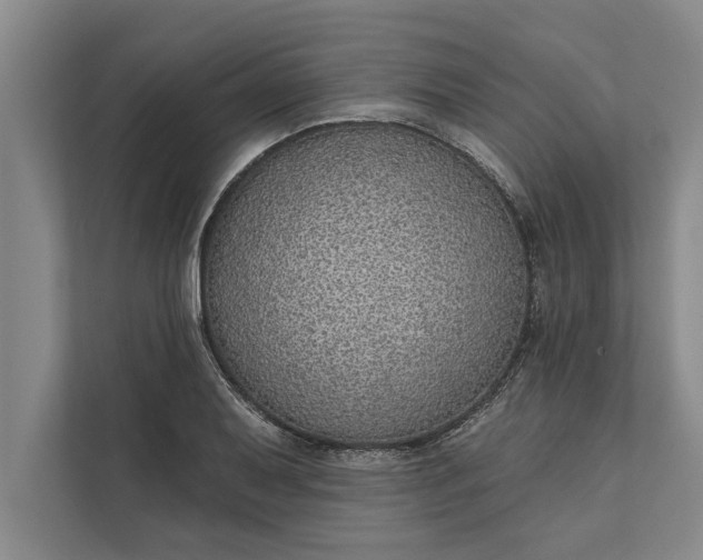 X0000112381079200908271314