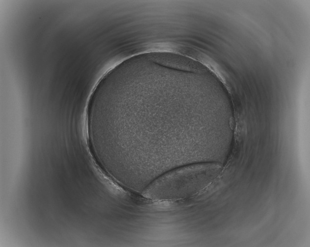 X0000112381080200908271314