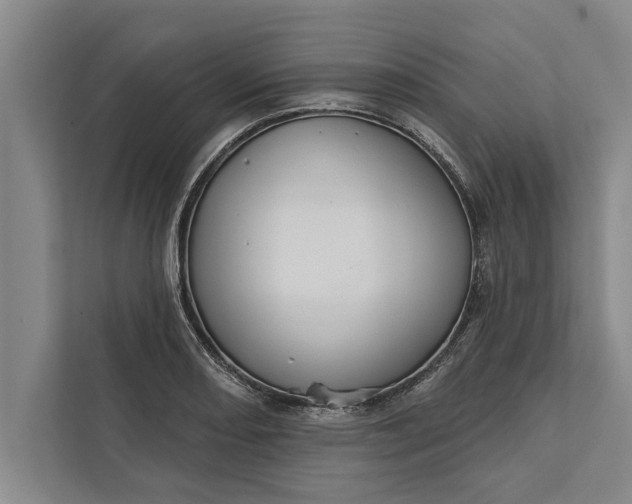 X0000112381082200908271314