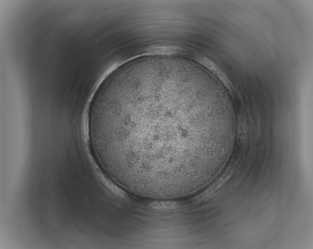 X0000112381083200908271314