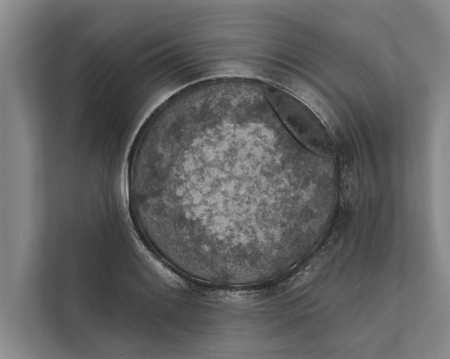 X0000112381084200908271314