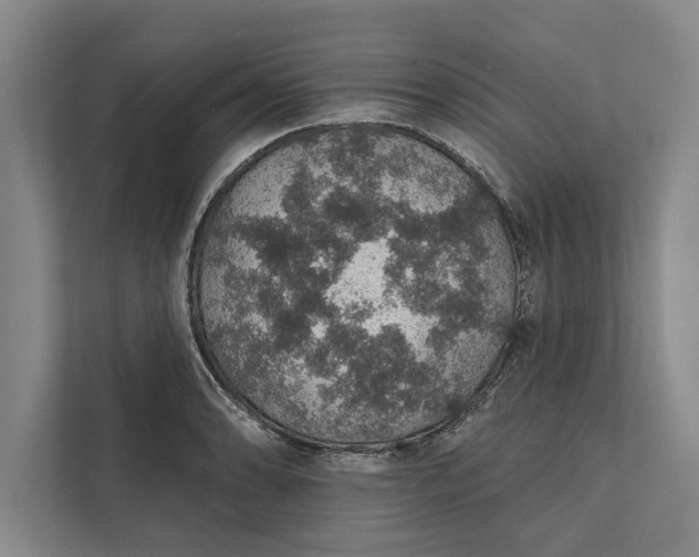 X0000112381086200908271314