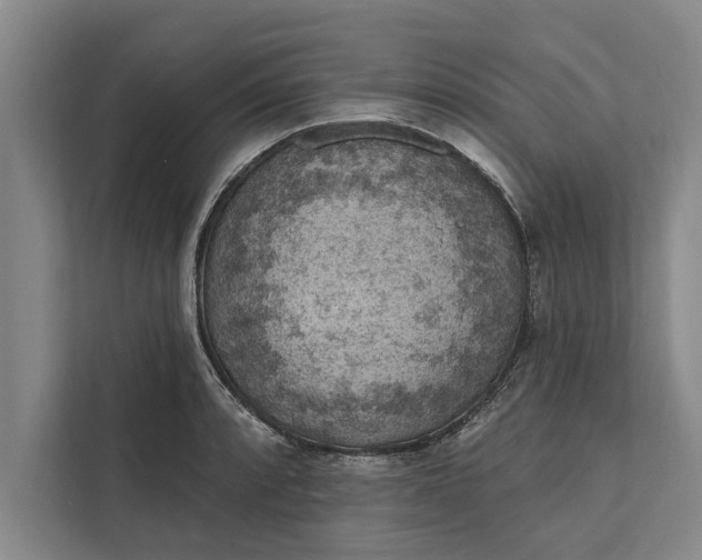 X0000112381088200908271314