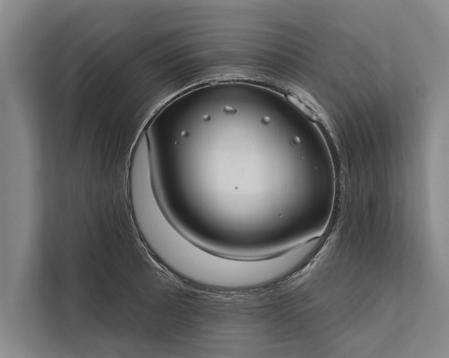 X0000112381089200908271314