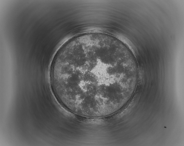 X0000112381090200908271314