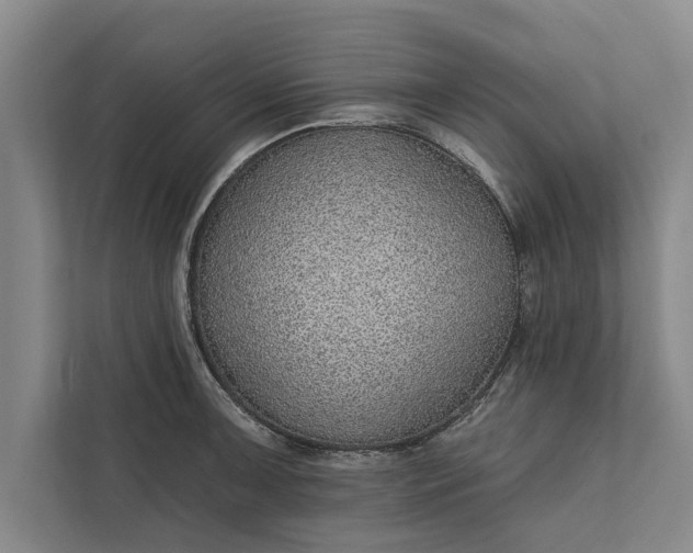 X0000112381091200908271314