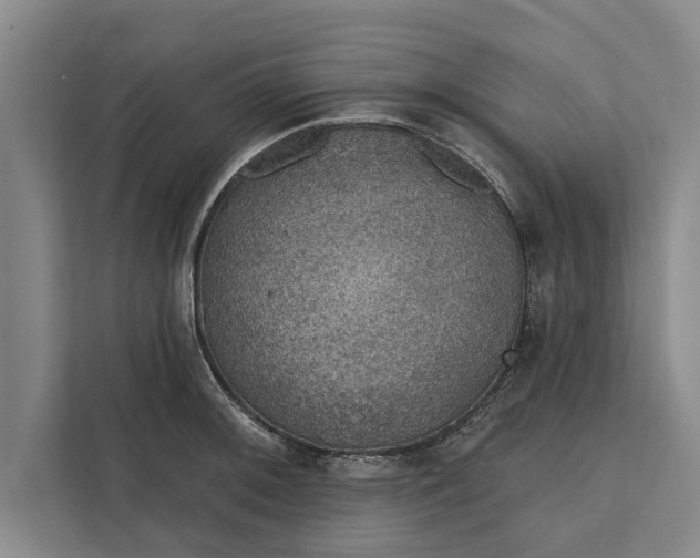 X0000112381092200908271314