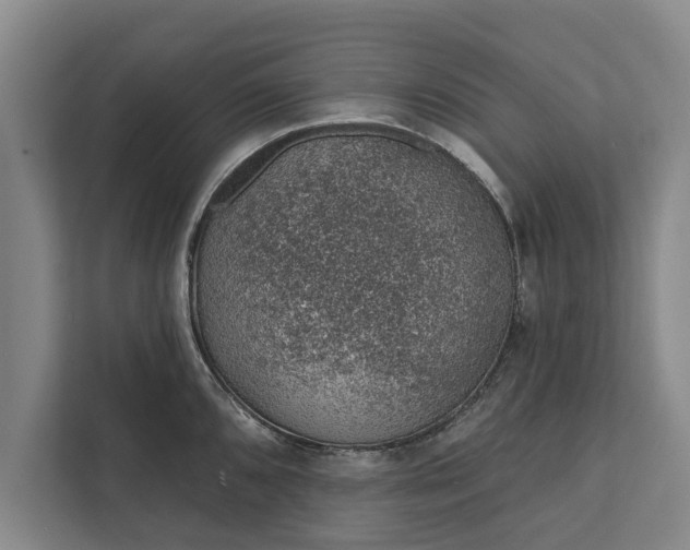 X0000112381096200908271314