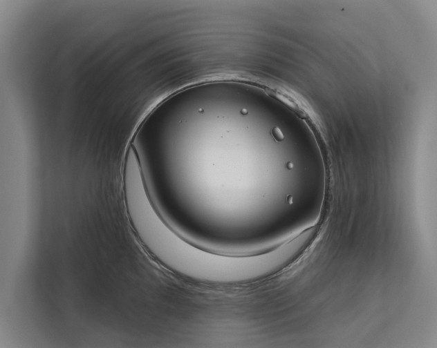 X0000112381097200908271314