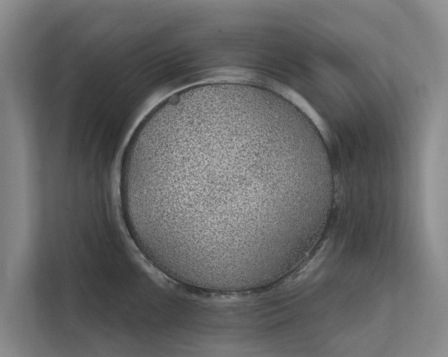 X0000112381099200908271314