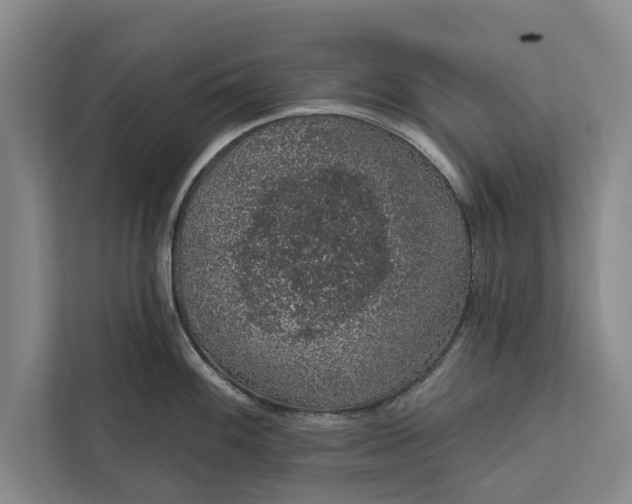 X0000112381100200908271314