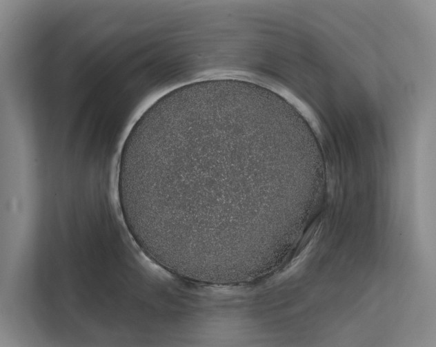 X0000112381102200908271314