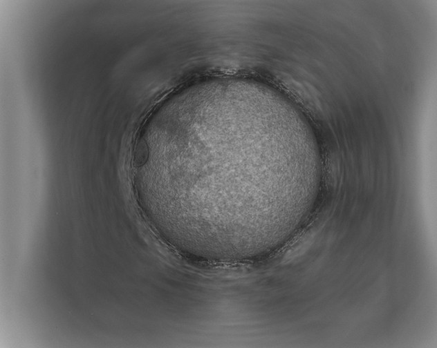 X0000112381105200908271313