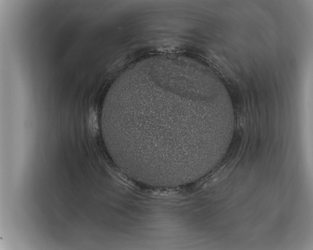 X0000112381106200908271313